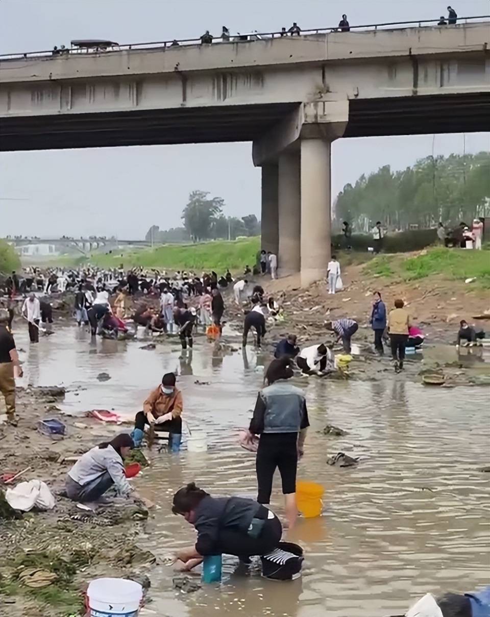 怎么开皇冠信用网
_河南浚县一处河道内众人捞金？当地辟谣：捞的是花甲怎么开皇冠信用网
，已劝离捕捞客