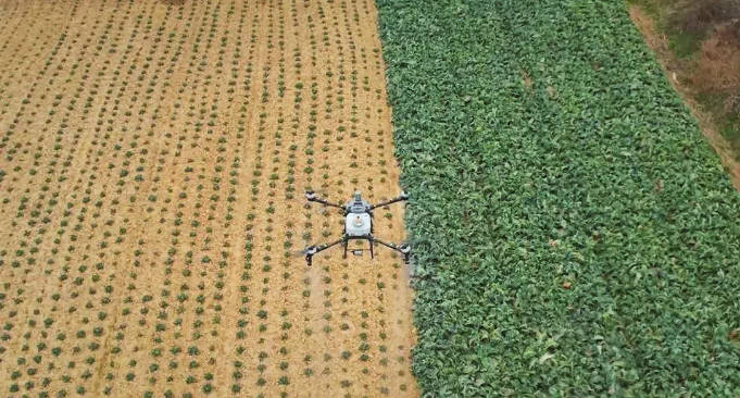 皇冠信用网庄家_【理响中国·春江水暖鸭先知】一架“无人机”飞出低空新天地