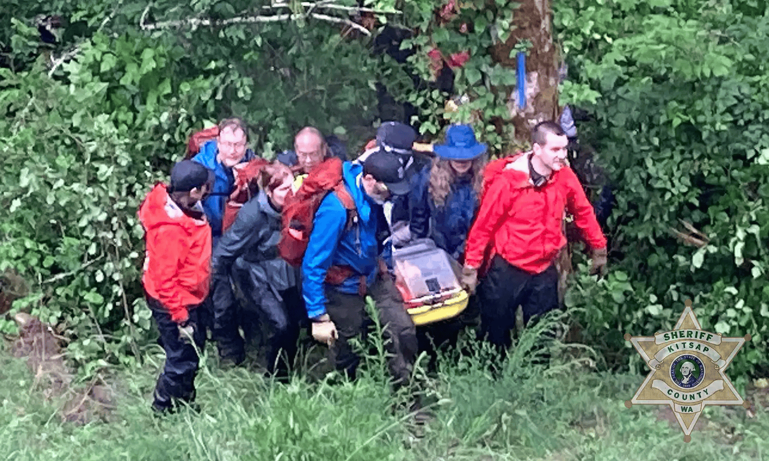 北阿德莱德火箭 v 西阿德莱德熊猫_美国一男子在树林失踪近一周北阿德莱德火箭 v 西阿德莱德熊猫，又从树上掉下后获救