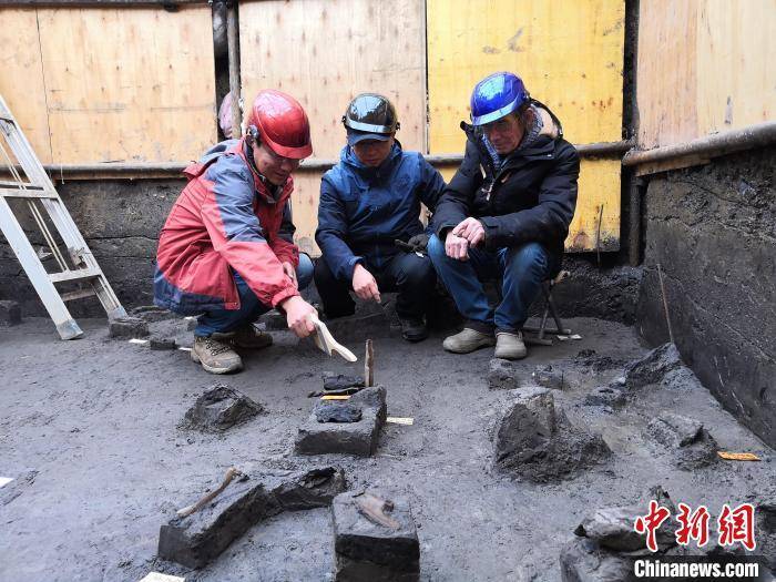 皇冠信用网代理注册_世界级重大考古成果皇冠信用网代理注册！中国发现30万年前东亚最早木器