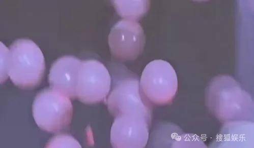 皇冠信用網会员开户_调侃“接受不了生女儿”被骂好几天皇冠信用網会员开户，他自曝差点因此家庭破裂......