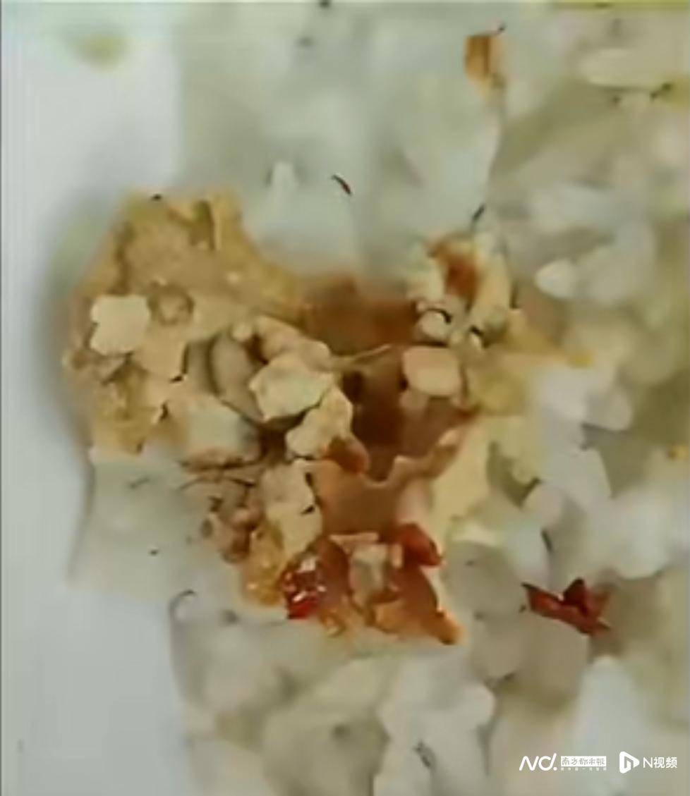 网上买球怎么买_事发佛山网上买球怎么买！有市民网购的豆腐乳内有蛆虫蠕动